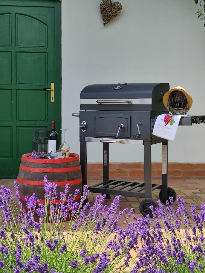 Szolohegyi Haziko - Cottage In The Vineyard Balatonszárszó Exterior foto